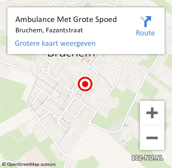 Locatie op kaart van de 112 melding: Ambulance Met Grote Spoed Naar Bruchem, Fazantstraat op 16 april 2022 21:34