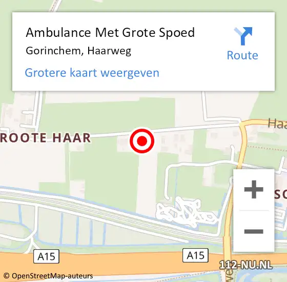 Locatie op kaart van de 112 melding: Ambulance Met Grote Spoed Naar Gorinchem, Haarweg op 29 januari 2023 22:17