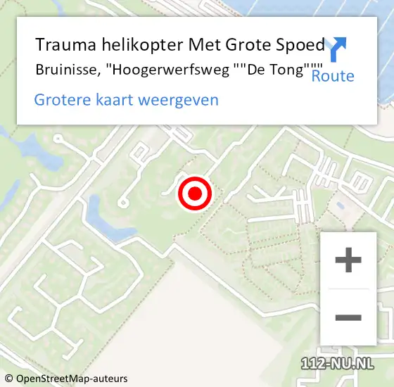 Locatie op kaart van de 112 melding: Trauma helikopter Met Grote Spoed Naar Bruinisse, "Hoogerwerfsweg ""De Tong""" op 29 januari 2024 12:31