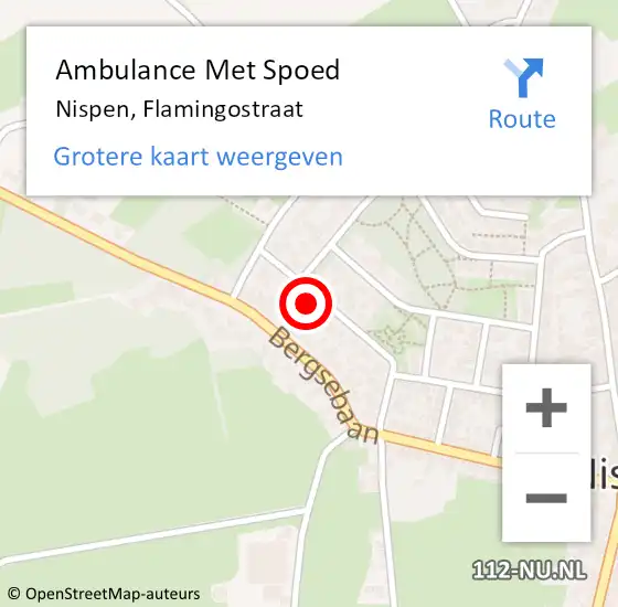 Locatie op kaart van de 112 melding: Ambulance Met Spoed Naar Nispen, Flamingostraat op 17 juli 2016 23:44