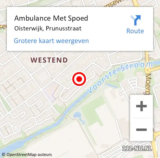 Locatie op kaart van de 112 melding: Ambulance Met Spoed Naar Oisterwijk, Prunusstraat op 9 april 2018 20:20
