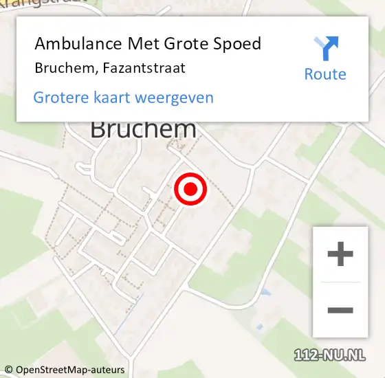 Locatie op kaart van de 112 melding: Ambulance Met Grote Spoed Naar Bruchem, Fazantstraat op 13 maart 2019 05:21