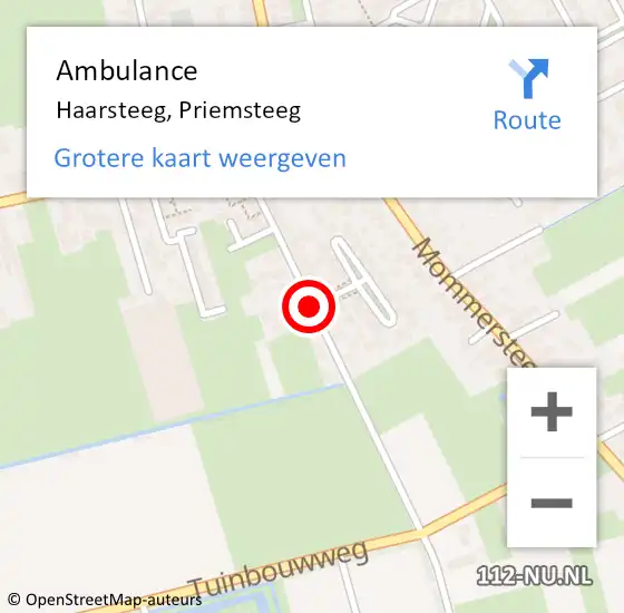 Locatie op kaart van de 112 melding: Ambulance Haarsteeg, Priemsteeg op 11 juni 2019 15:33