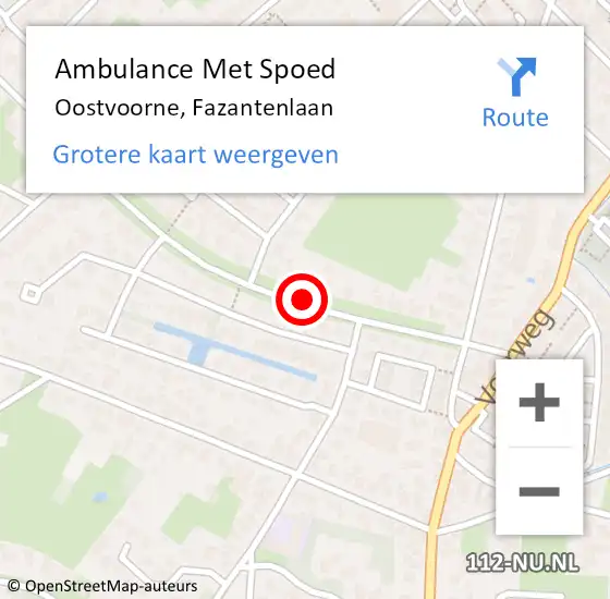 Locatie op kaart van de 112 melding: Ambulance Met Spoed Naar Oostvoorne, Fazantenlaan op 14 juni 2020 02:55