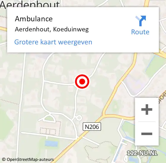 Locatie op kaart van de 112 melding: Ambulance Aerdenhout, Koeduinweg op 25 juni 2020 17:09