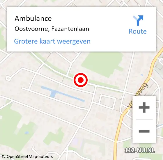 Locatie op kaart van de 112 melding: Ambulance Oostvoorne, Fazantenlaan op 21 juli 2020 11:57