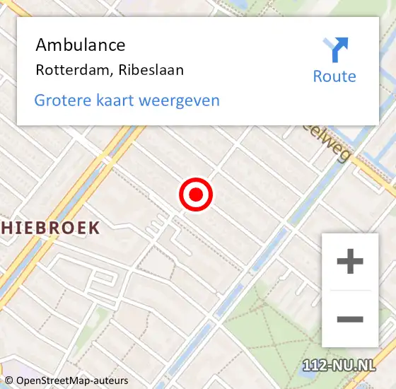 Locatie op kaart van de 112 melding: Ambulance Rotterdam, Ribeslaan op 10 februari 2021 08:58